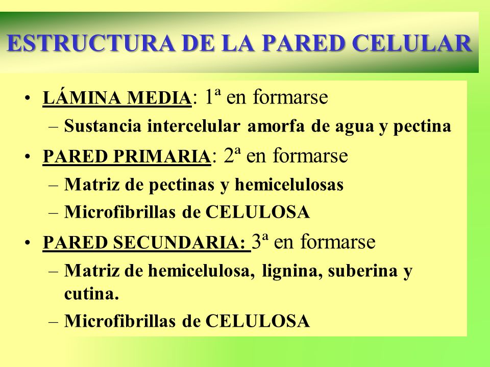 Menú de navegación